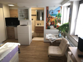 Ferienwohnung Apartment Dettum mit eigenem Bad, Kochnische und Wintergarten